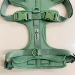 Hooman tails dog harness